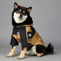 Golden Dog Raincoat - Stylish And Waterproof Pet Jacket - £18.72 GBP