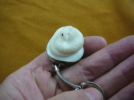 (TNE-SNAK-218) SNAKE KEYCHAIN keyring TAGUA NUT Figurine carving I love ... - $16.12