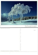 Germany Baden-Württemberg Schwarzwald Schauinsland Snow Beech Trees VTG Postcard - £7.51 GBP