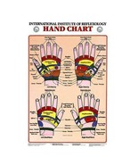 New Reflexology Hand Charts 22&quot;x17&quot; - £31.80 GBP