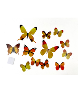NWT 12PC Butterflies Wall Stickers 3D Decoration With Adhesive Home Deco... - £9.20 GBP