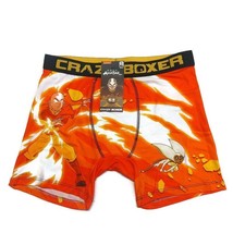 Nickelodeon Mens Size XL AVATAR MOMO The Last Airbender Boxer Briefs Crazy Boxer - £10.24 GBP