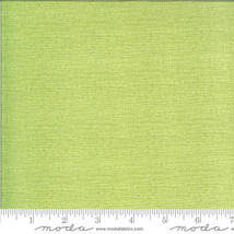 Moda SOLANA Thatched Meadow 48626 134 Quilt Fabric By The Yard - Robin Pickens - £9.34 GBP