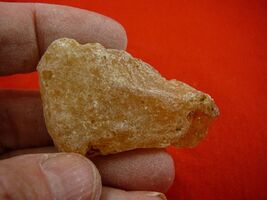 (k-3517) 15 g Rare Kauri tree Gum copal young Amber New Zealand Tane Mahuta - €10,73 EUR