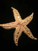 Vintage 80s gold tone etched starfish brooch image 2