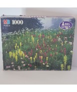 Milton Bradley Big Ben Mt. Rainier National Park WA 1000 Piece Jigsaw Pu... - £11.79 GBP
