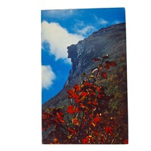 Postcard Old Man Of The Mountains Franconia Notch New Hampshire Chrome Unposted - $6.92