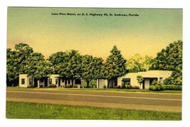 Lone Pine Motel Linen Postcard US Highway 98 St Andrews Florida - £10.84 GBP