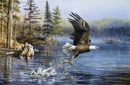 American eagle cross stitch pattern thumb200