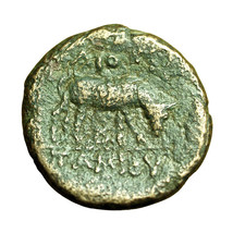 Macedonia Roman Protectorate Coin Gaius Publius Tamios AE20mm Athena / Ox 04495 - £30.28 GBP