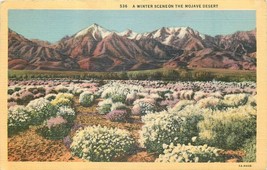 Linen Postcard CA P638 A Winter Scene on the Mojave Desert Wildflowers Snow 1942 - £5.46 GBP