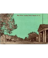 Main Street View Looking North Geneseo New York NY UNP Unused Postcard D10 - €12,79 EUR