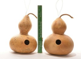 Sell Store 20 Birdhouse Bottle Gourd Seeds Native Heirloom Vine Crafts Birds Hob - £7.50 GBP