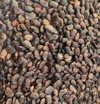 Phaseolus lunatus, Brownish-black lima beans, 25 seeds / 8 USD, shipping... - $30.00