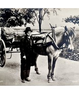 Norwegian Shuttle Boy Horse Carriage Norway Photograph Folk Life c1900-1... - €34,56 EUR