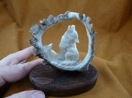 wolf-w48 white howling Wolf shed ANTLER figurine Bali detailed carving w... - £129.63 GBP