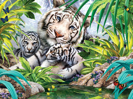 Framed Canvas Wall Art Print White Bengal Tigers Cubs Forest Jungle Exotic - $39.59+