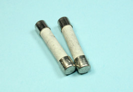 2pc NEW Standard 314 25Amp 250v Ceramic Fuse - $11.25