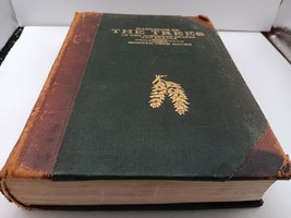 Handbook of the Trees of the Northern States and Canada Romeyn Beck Hough 1918 - £31.14 GBP