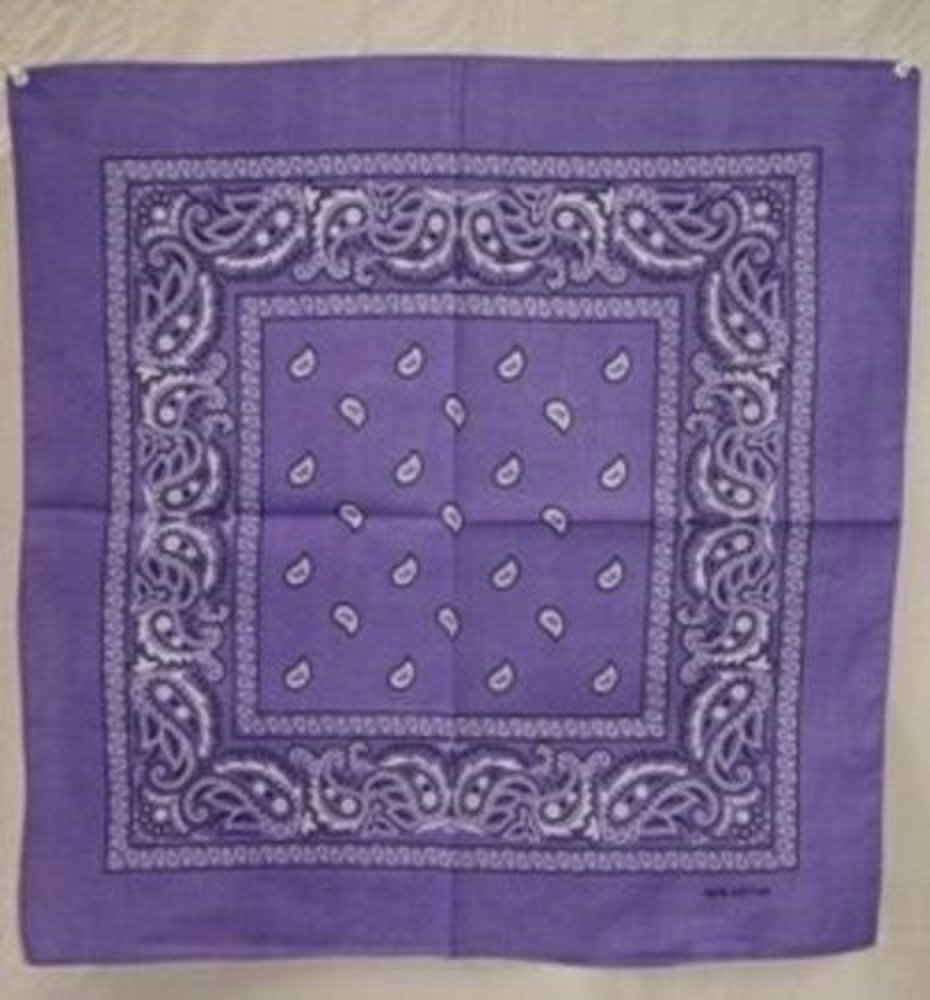 Wholesale Lot 3 22&quot;x22&quot; Paisley Light Purple Bandana - $4.44