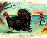 Raphael Tuck Thanksgiving Day Series Chasing Turkey Embossed 1910s Postcard - $9.76