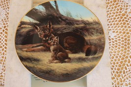 W S George - Last of Their Kind: Endangered Species - The Red Wolf - COA &amp; Box - £6.32 GBP