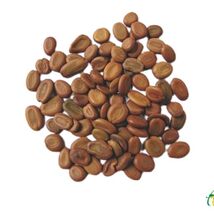 Albizia Lebbeck ,SIRIS, SARAS ,ACACIA LEBBECK Woman's Tongue ,100 gms - $16.79