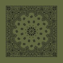 Carolina Creative Bandanna (Olive) Contemporary Paisley 22" x 22" 100% C... - $7.29