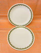 Set of 2 vintage corelle spring blossom green dinner plates thumb200