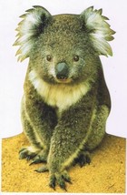 Souvenir Die Cut Card Australia Koala Bear Nucolorvue 4.5 x 7 - $3.47