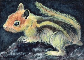 ACEO Original Painting Chipmunk animals wildlife rodent squirrel stripes - £12.64 GBP
