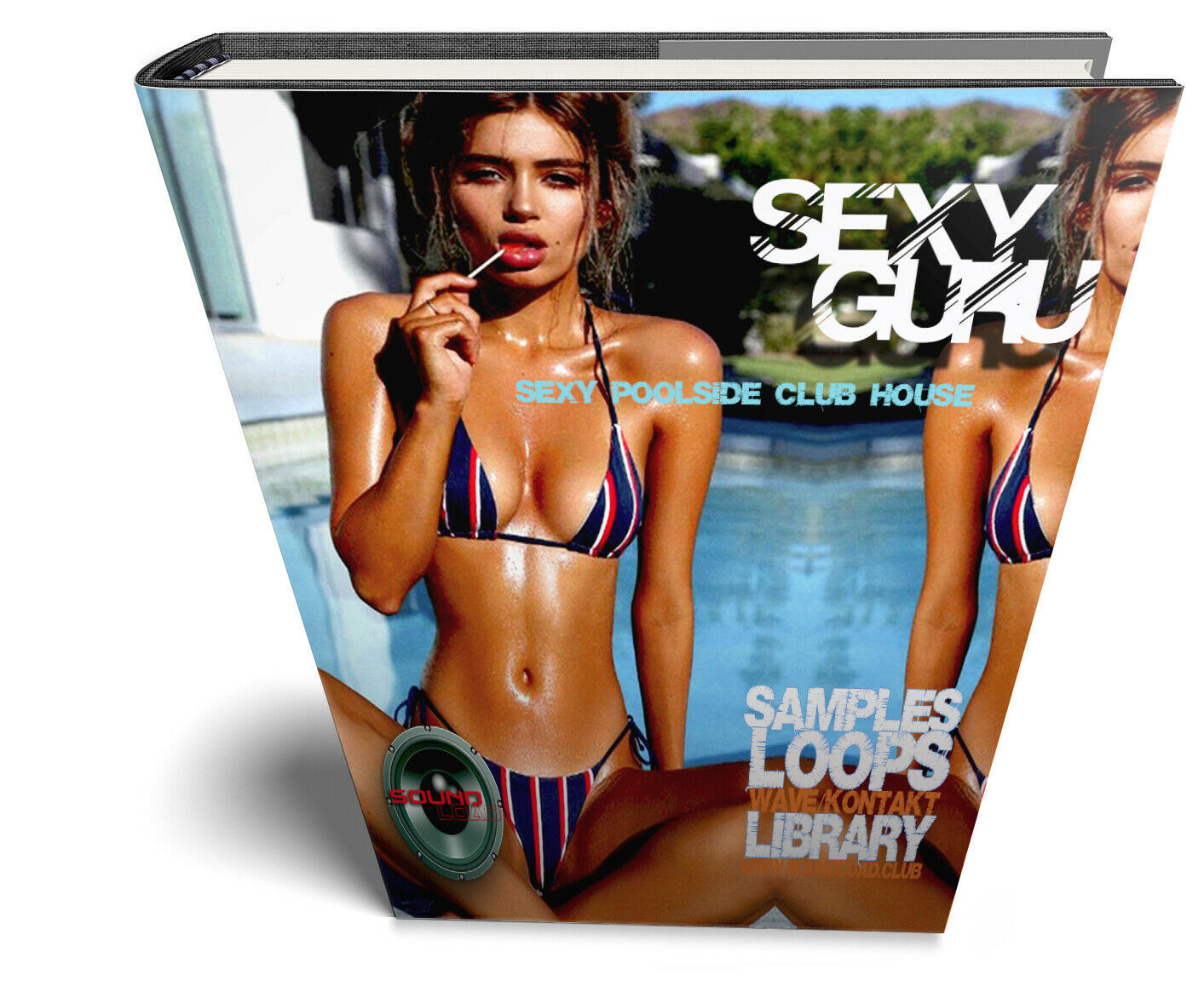 Sexy Poolside Club House GURU - Large Essential 24bitWAVE Samples/Loop L... - $11.88
