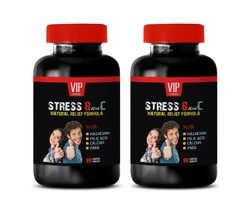 Stress Management - Stress Support Formula - Digestion Advantage 2 Bottle - £26.86 GBP