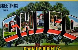 Greetings From Chico California Postcard Linen Huge Tree Vintage Origina... - $6.47
