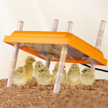 ZXZYHFTY Chicken Coop Heater, 10&quot; X 10&quot; Height Adjustable Chick Heater, Orange P - £85.80 GBP