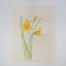 Aquarelle Peinture Jaune Jonquilles Nature Morte Coloré - £28.58 GBP