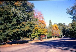 1974 View from Car Autumn Road Turkey Run State Park Indiana Kodachrome Slide - £2.73 GBP