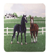 Kentucky Farms Thoroughbreds SAKFT Horse Sherpa Fleece Throw Blanket 50 ... - $1,017.85 MXN
