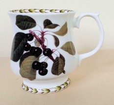 Vintage Mug Queen&#39;s Horticultural Society Art by Hooker Footed Cherries Mug - $12.87