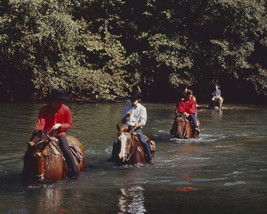 The Beatles riding on horseback in river John Paul George Ringo 16x20 Canvas Gic - $69.99