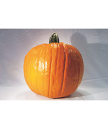 US Seller Gold Rush Pumpkin Fresh Seeds - $22.96