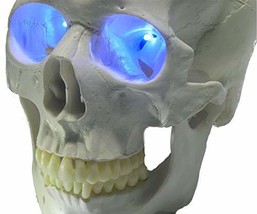 24 inch, Battery Operated, Led Eyes for Masks, Skulls and Halloween Prop... - £10.17 GBP