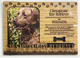 Chesapeake Bay Retriever Dog Profile Laser Engraved Wood Picture Frame Magnet - £10.82 GBP