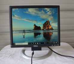 Dell 1904FPVt 19&quot; Flat Panel Monitor with Stand, VGA, DVI &amp; 4-USB Ports - $39.55