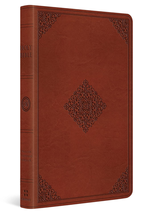 ESV Large Print Value Thinline Bible (Trutone, Tan, Ornament Design) - €18,06 EUR