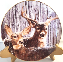 Deer Collector Plate Snowy Alert Pride Of Wilderness Danbury Mint Bob Travers - $18.70