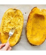 Spaghetti Squash Seeds Seed Store FRESH - $11.00