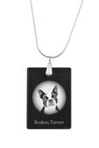Boston Terrier, Dog Crystal Pendant, SIlver Necklace 925, High Quality - £30.29 GBP