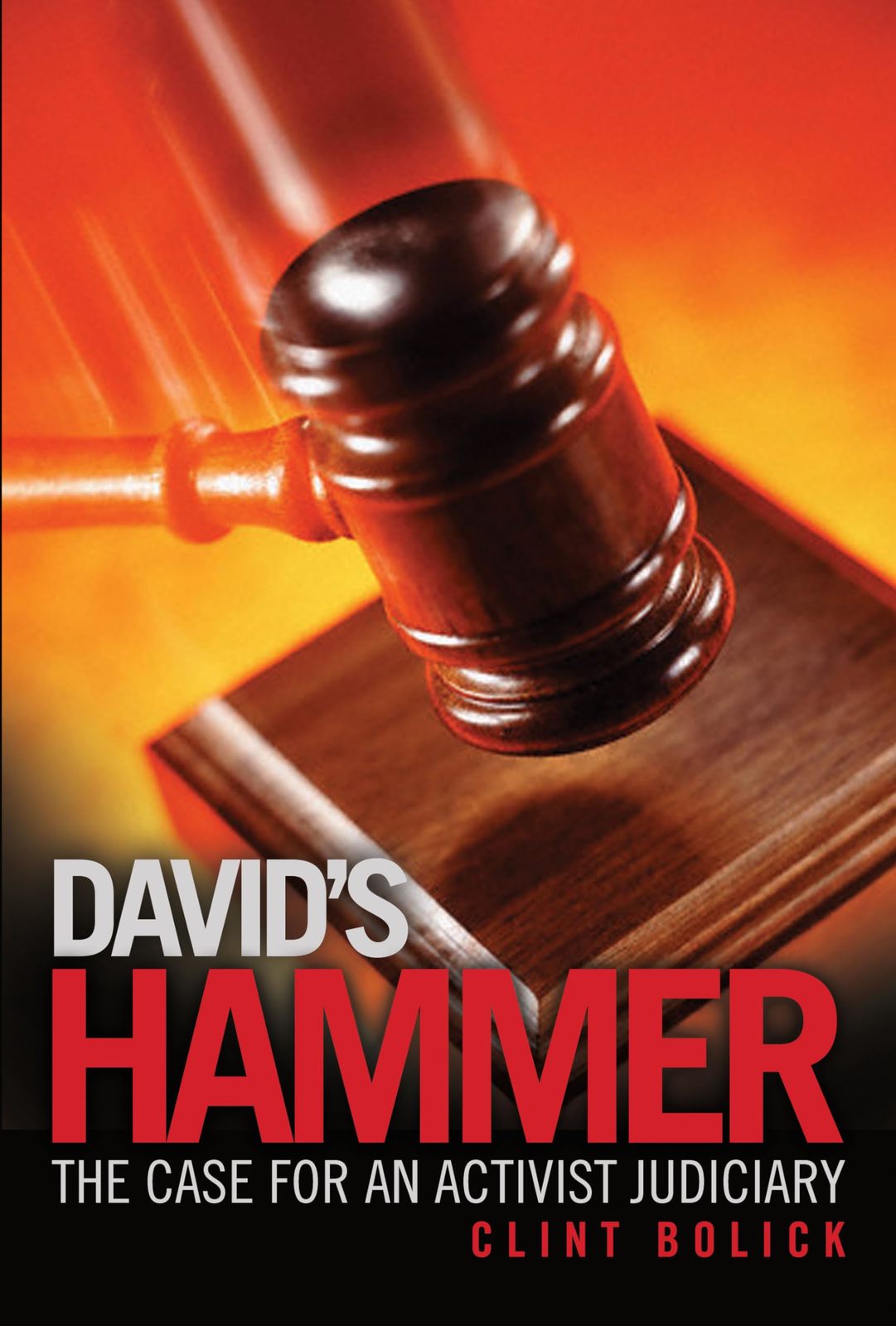 David&#39;s Hammer: The Case for an Activist Judiciary [Paperback] Bolick, C... - $9.79