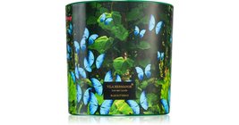 Vila Hermanos Jungletopia Blue Butterfly candela profumata 620 g - £80.48 GBP